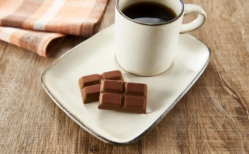 屋久島の水で磨いたカカオ豆からつくったピュアチョコレート 25g×2枚