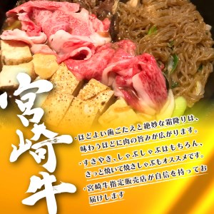 宮崎牛ロースうす切り（1kg） N061-YZE013