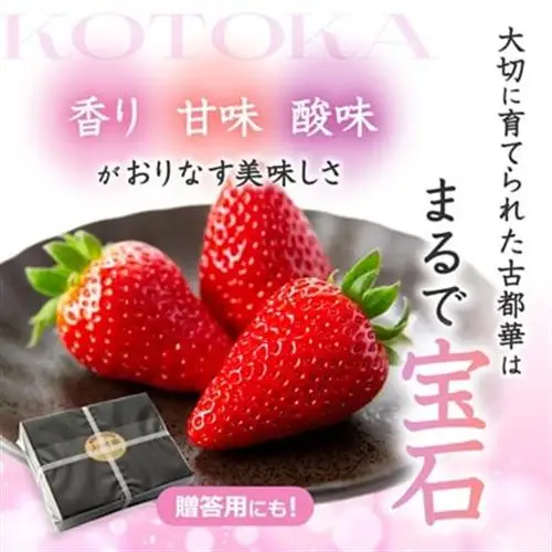先行予約　奈良県産いちご　古都華　化粧箱入り4パック_果物・フルーツ いちご  イチゴ 苺_【配送不可地域：離島・北海道・沖縄県】【1253923】