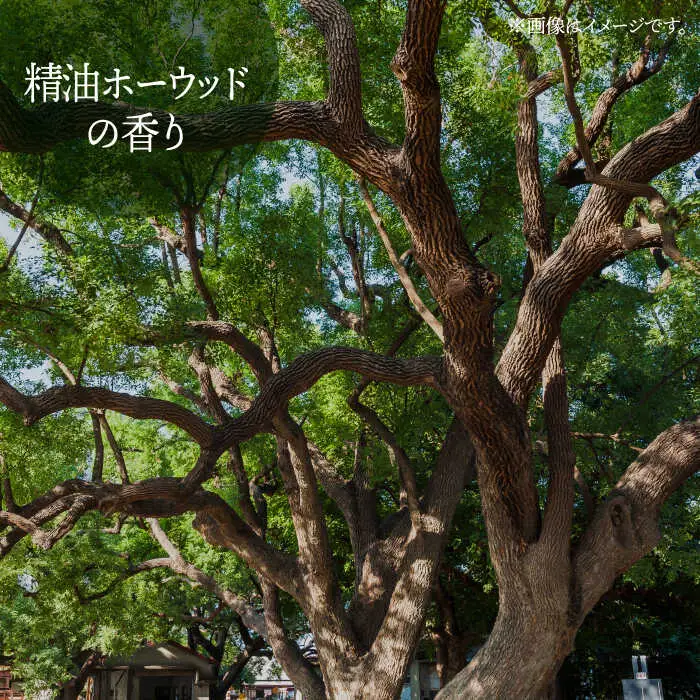 美容液シャンプー「Hete」精油ホーウッドの香り 400ml桂川町/株式会社studio.FELIZ [ADBU008] シャンプー ヘアケア サロン