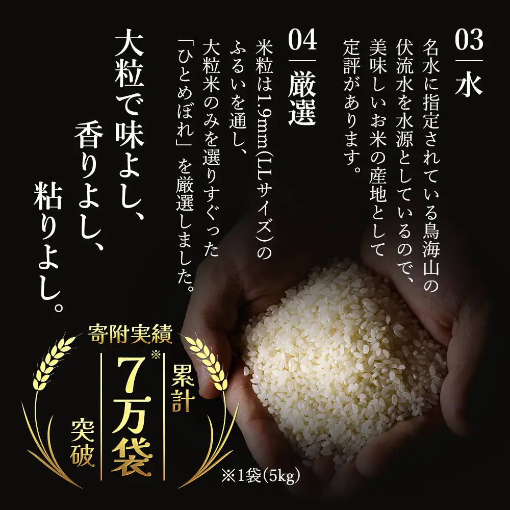 先行予約【8ヵ月定期便】ひとめぼれ 5kg 白米 令和8年産 白米