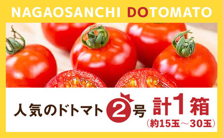 【2027年1月中旬発送】ドトマト2号 1箱 / 佐賀県 / 永尾産ち [41AAAC003]