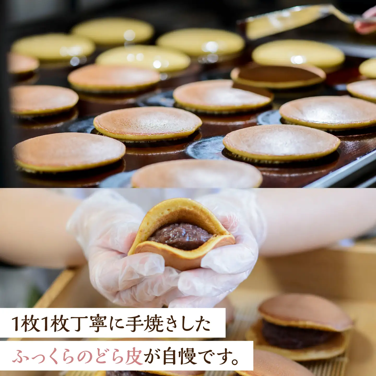 【冷凍】小嶋やの謹製どら焼き（5個入） / 佐賀県 / 小嶋や [41AEAN021]