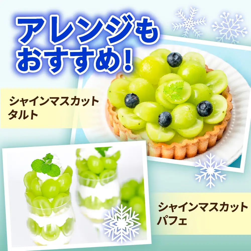 【先行予約】 【数量限定】 令和8年産 大玉 シャインマスカット 2房 1.4kg 2026年9月上旬頃～お届け予定