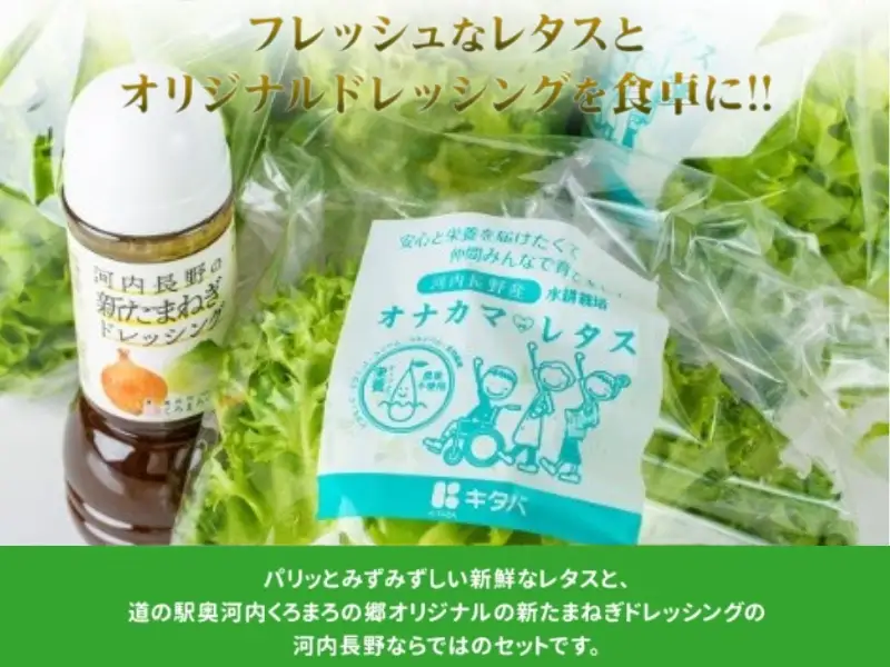 とれたてレタスと玉ねぎドレッシングセット