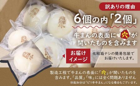 訳あり 飛騨牛まん 6個セット｜肉まん 簡易包装 惣菜 肉まん 中華まん GV005VC13