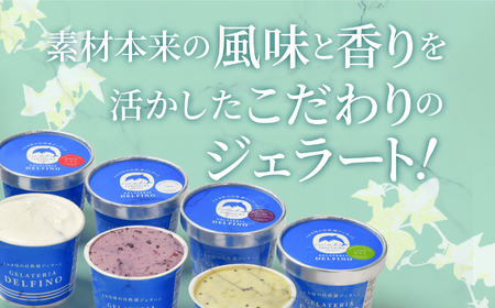 いわき産のフルーツを使った自家製ジェラート12個入セット お菓子 スイーツ
