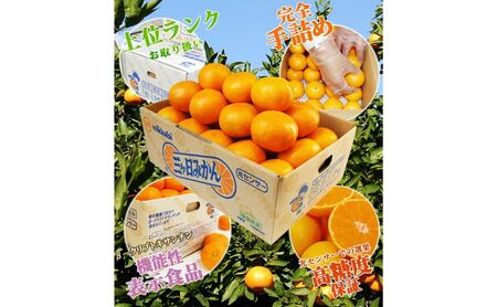 三ヶ日青島みかん【優品】2Lサイズ 3.5kg (20個前後) ミカン 果物 くだもの フルーツ 甘い 静岡 浜松市【配送不可：北海道・沖縄・離島】