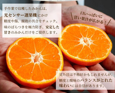 有田みかん 家庭用 完熟 1kg+250g（傷み補償分）サイズ混合 ｜ みかん