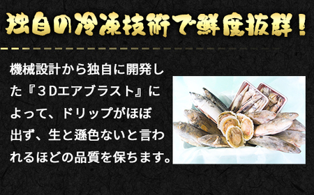 【定期便】北海道産 訳あり 冷凍鮮魚セット Ｌサイズ 2.8～3.2kg 年4回お届けコース 総重量11.2kg～12.8kg 【漁師応援プロジェクト】鮮魚ボックス 詰め合わせ