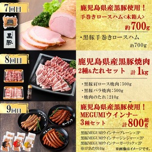 【定期便・全12回】ナンチクのお肉を楽しむ定期便！ナンチク厳選コース！ 総量8.5kg超! t0165-002