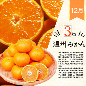 【8・9・12月 全3回 定期便 】紀州和歌山産旬のフルーツセット（種なし巨峰・シャインマスカット・みかん）【UT122】【Z91162-tkb398】