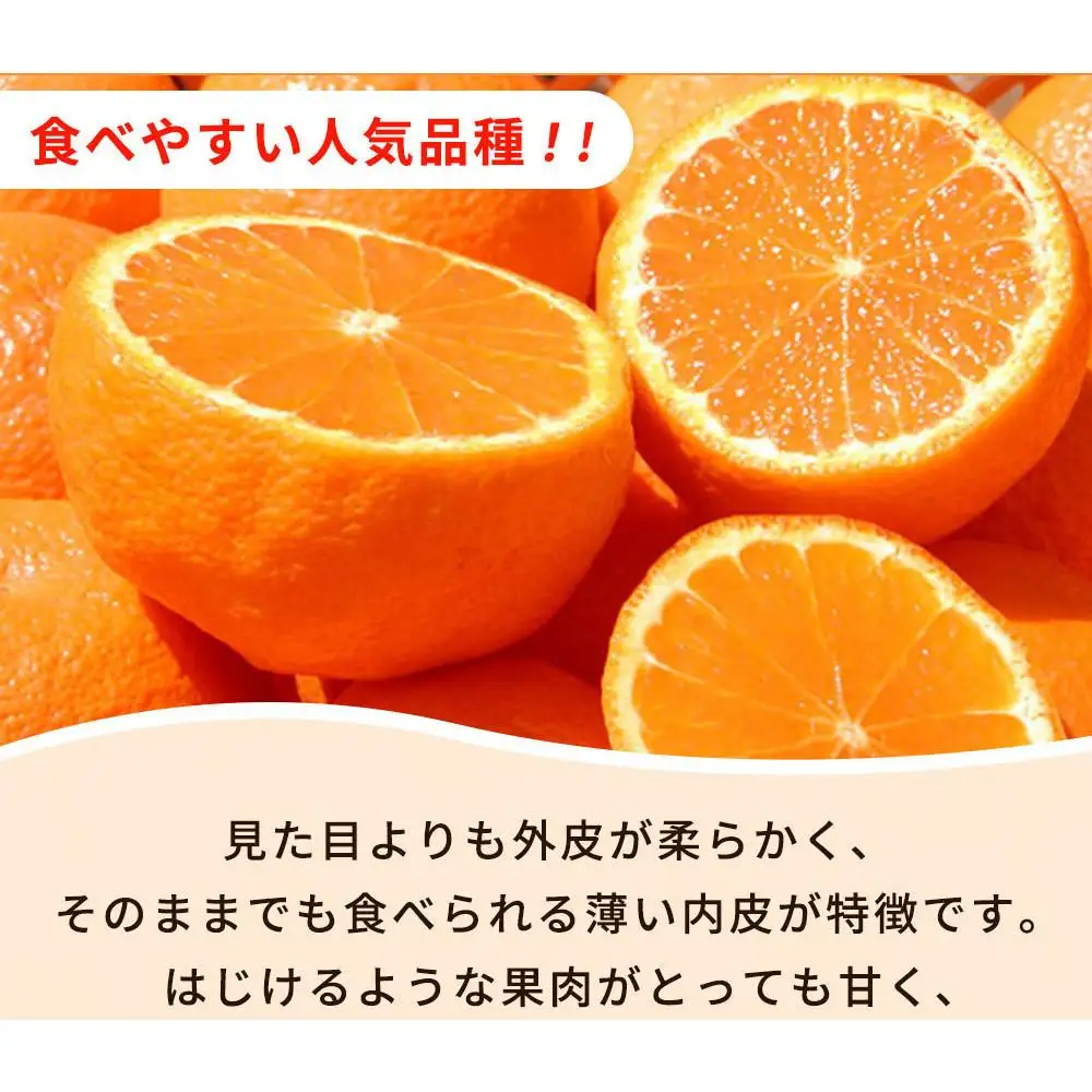 ［ご家庭用訳あり］紀州有田産不知火(しらぬひ) 約3kg［2027年2月中旬以降発送］［先行予約］［UT135］