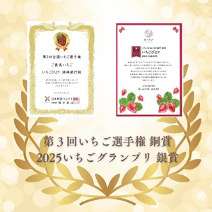 完熟いちご食べ比べセット品種おまかせ　滋賀県愛荘町産　2026年２月?2026年４月頃発送 BJ01
