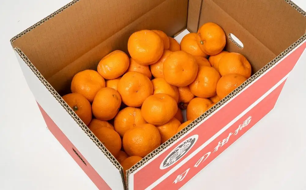 ［ご家庭用訳あり］紀州有田産濃厚完熟温州みかん 約2kg［2026年11月下旬以降発送］［先行予約］