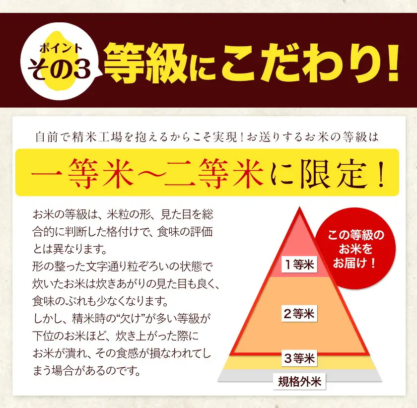 【12ヶ月定期便】米 白米 令和7年産 ひのひかり 20kg