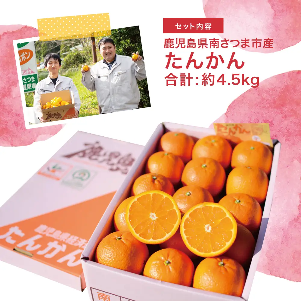 【2027年2月中旬発送開始】たんかん 約4.5kg 果物 フルーツ 柑橘 みかん 鹿児島県産