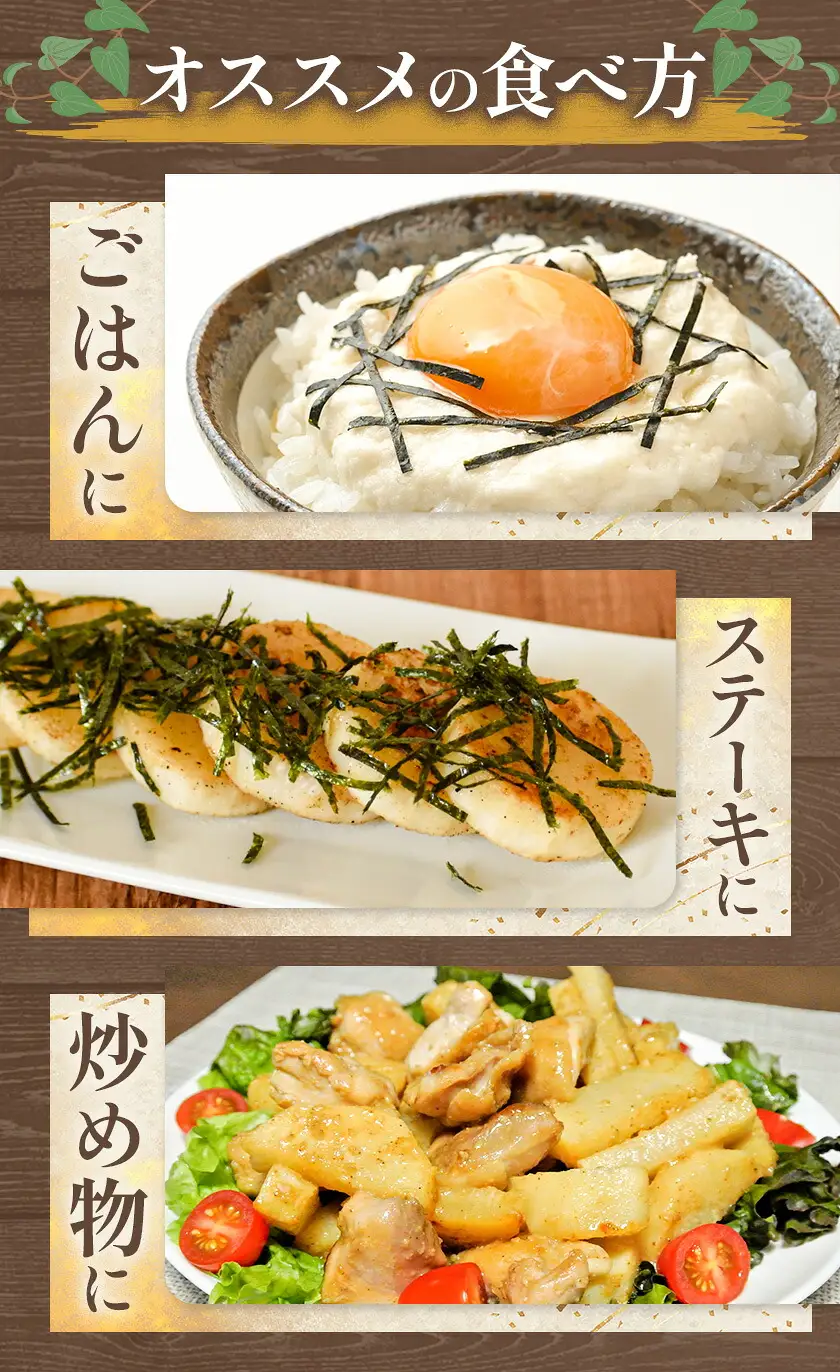 【2回定期便】2026年 先行予約【訳あり】十勝豊頃産 ながいも 10kg 植村農場 《12月上旬-2月末頃出荷予定》