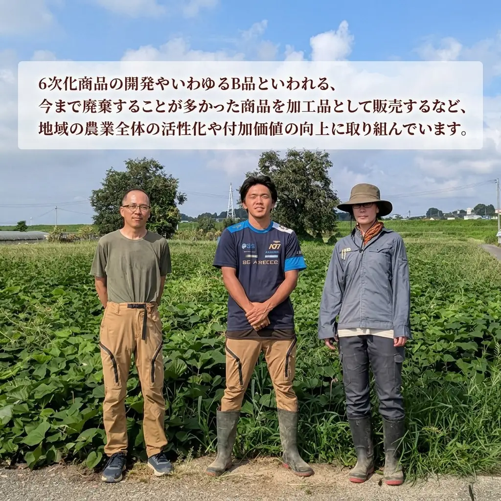 さつまいも 紅はるか 訳あり無選別 熟成 さつまいも【5kg】