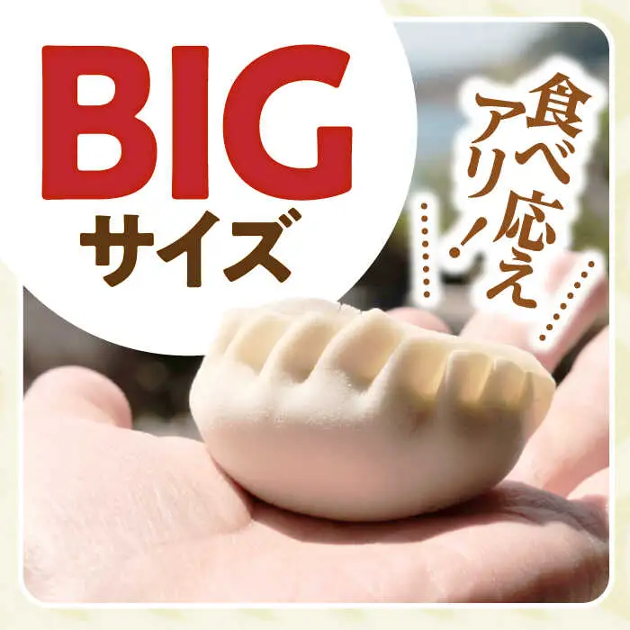 【12回定期便】《餃子のかわしも》かわしも焼き餃子お徳用45個入りパッケージ [AHBM008]