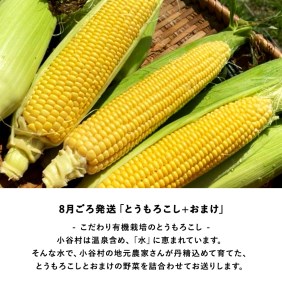 【年4回発送】小谷村特産品定期便｜おたりの旬をお届けします
