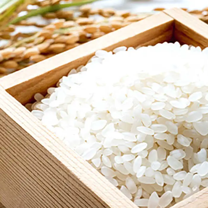 (令和7年産)【6回定期便】長崎県認定特別栽培米ひのひかり10kg  / 米 こめ コメ おこめ お米 白米 精米 ひのひかり ヒノヒカリ kome 長崎県産 / 諫早市 / 宮下農園   [AHCG025]