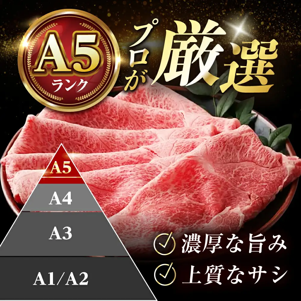 【全3回定期便】国産和牛切落し 600g[AOAI023] 牛肉切り落とし