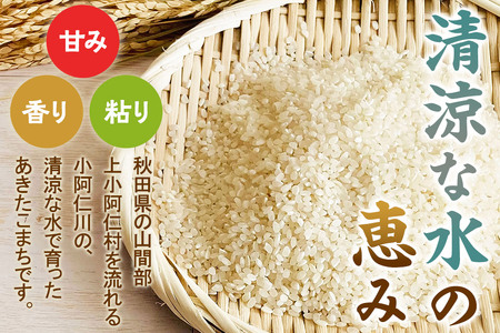 《令和7年産》上小阿仁村産 あきたこまち 10kg 白米