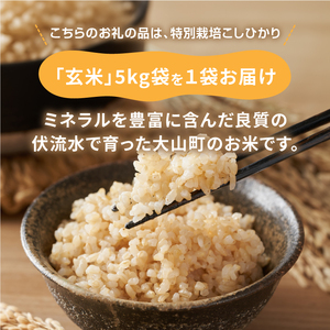 MR-13　減農薬・減化学肥料　特別栽培米こしひかり　5kg（玄米）