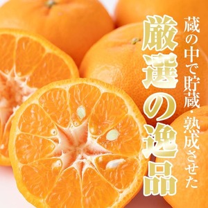 ＜先行予約＞＼数量・期間限定／本格貯蔵 ぽんかん 薩州薩摩 約5kg ぽんかん【01-039-04】