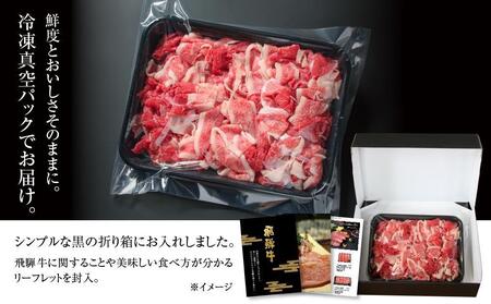 訳あり 飛騨牛 切落とし 500g 冷凍真空パック | 訳あり MZ011VC13