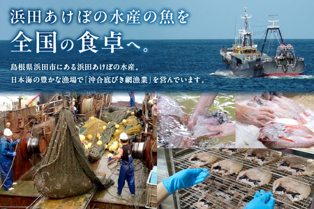【訳あり数量限定】あけぼの丸ののどぐろ一夜干し5枚セット合計600g 【146_2035】