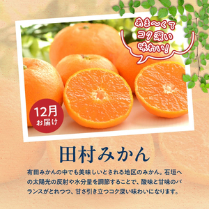 【定期便 全3回】紀州和歌山産旬のフルーツ定期便（田村みかん、いちご、紀州デコ）_G60-T77