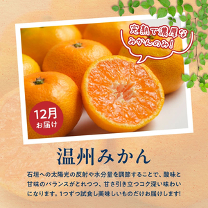 【定期便 全3回】紀州和歌山産旬のフルーツ定期便（温州みかん、いちご、紀州デコ）_G60-T84