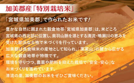 【新米予約】 金芽米 200kg(5kg×40袋) 金芽米