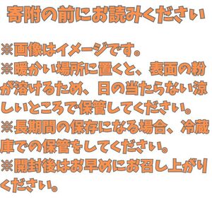 きのした農園の市田柿830g＜2026年12月中旬より発送＞