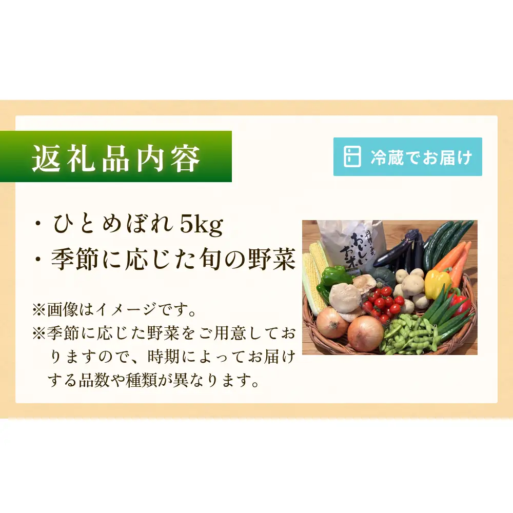 石巻産 お米と季節の野菜セット 朝採れ 旬の野菜 季節の野菜 お野菜 詰め合わせ 食材 新鮮
