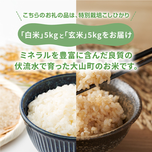 MR-15　減農薬・減化学肥料　特別栽培米こしひかり「白米」と「玄米」のセット 10kg （各5kg　計10kg）