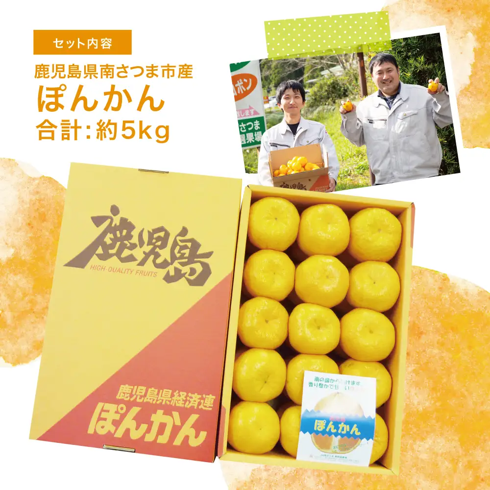 【2027年1月発送】数量限定！ぽんかん 約5kg ポンカン 果物 フルーツ 柑橘 みかん 鹿児島県産