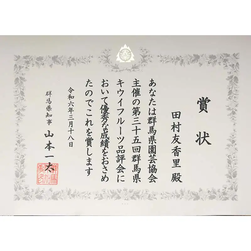 ＜先行予約＞【3年連続受賞】「A品数量限定」下仁田町産キウイフルーツ約3.6kg（1玉Lサイズ115g以上） キウイ フルーツ キウイ デザート 果物 贈答品としても人気！ F21K-448