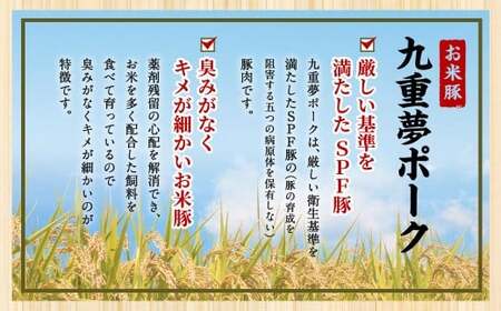 【6ヶ月定期便】 九重 夢ポーク (お米豚) 切り落とし 約2.8kg (約350g×8パック) × 6回 合計約16.8kg 定期便 豚肉 大分県産 国産【2025年2月発送開始】
