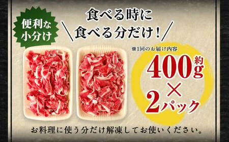 【6ヶ月定期便】豊後牛 切り落とし 約800g (約400g×2) × 6回 合計約4.8kg 定期便 牛肉 大分県産 国産 焼肉 ステーキ 霜降り【2025年2月発送開始】