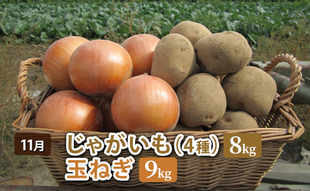 【先行予約】十勝幕別 北の畑のオーナーさん 人気の旬野菜 年4回定期便［2027年5月出荷開始］北海道ホープランド農場 【 アスパラ とうもろこし コーン じゃがいも ジャガイモ 玉ねぎ 野菜 定期便 】