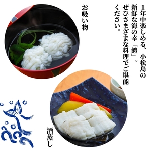 鱧 ハモ 切り身【 定期便 3回 偶数月】冷凍 計 3.6kg 【小松島市共通返礼品】
