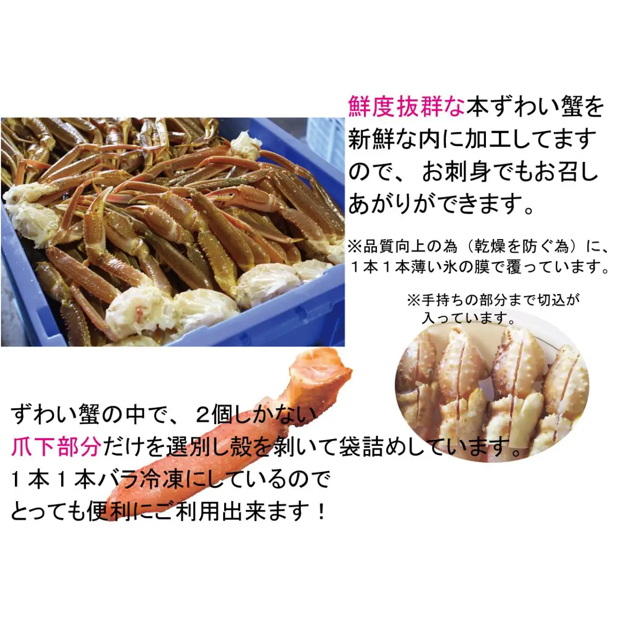 ひとくちサイズ お刺身も出来る！生冷凍ズワイガニ爪下 約1kg（北海道産・ロシア・アメリカ産） ABB014