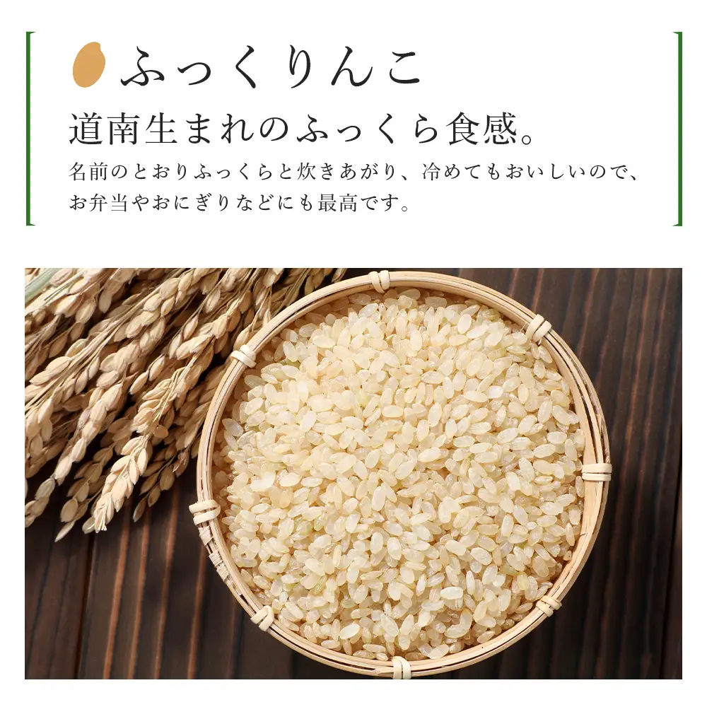 【令和8年産新米予約】【6カ月定期便】特別栽培米産地直送「玄米ふっくりんこ 10kg」《帰山農園》