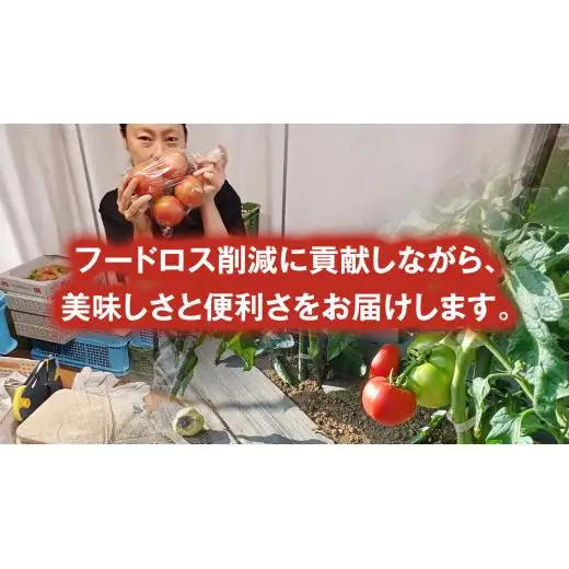 冷凍 トマトピューレ 1000g × 5パック 訳あり [AL012tu]