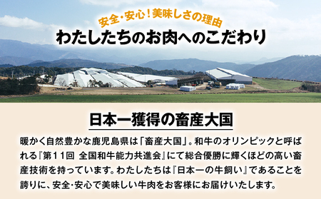 A5等級 鹿児島県産黒毛和牛リブロース 1ポンドステーキ 2枚セット K002-041_02 肉 牛肉 冷凍