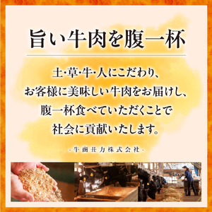 【自社牧場和牛】小林市産 黒毛和牛 赤身ステーキ 200g×2枚（牛肉 国産牛 黒毛和牛 和牛 赤身 ステーキ） ステーキ 和牛ステーキ 牛肉ステーキ 国産ステーキ 赤身ステーキ