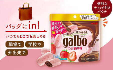 ガルボつぶ練り苺パウチ 48袋[AOAA029] チョコレート お菓子